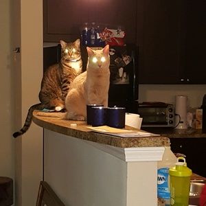 Meet your Posher, Aldo